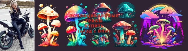 бутират Ельня