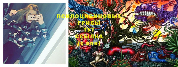 бутират Ельня