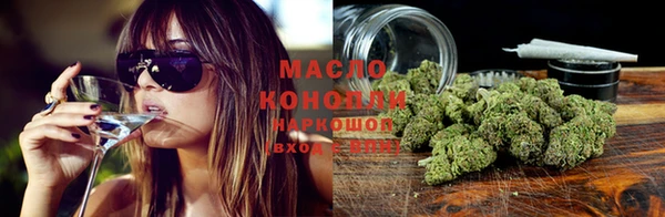 МДПВ Елабуга