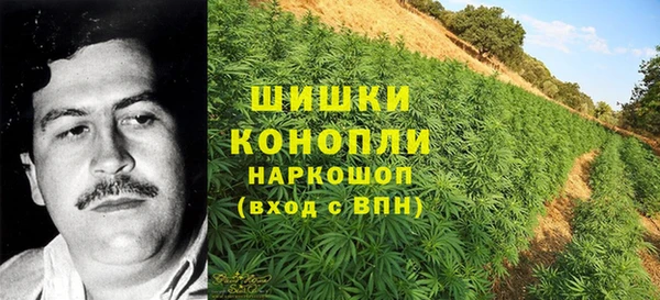 амфетамин Елизово