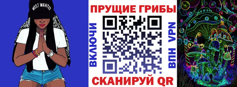 Псилоцибиновые грибы мухоморы  Купить  Сураж 